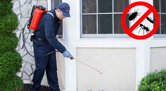Çekerek Haşere İlaçlama böcek ilaçlama ve haşere kontrolü — ilaclama-tr.com